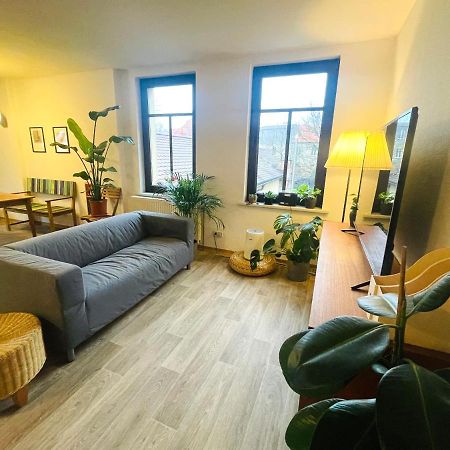 P6 - Familienwohnung Am Park Und Saale Halle  외부 사진