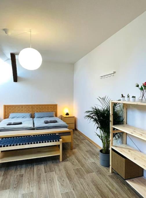 P6 - Familienwohnung Am Park Und Saale Halle  외부 사진