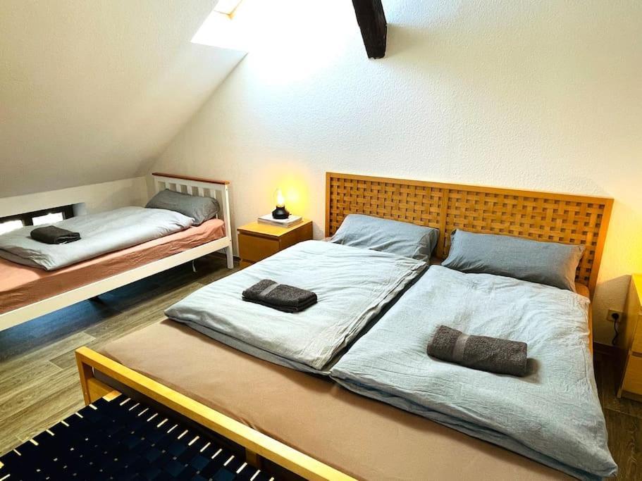P6 - Familienwohnung Am Park Und Saale Halle  외부 사진
