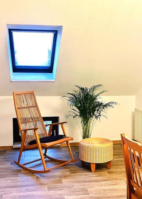 P6 - Familienwohnung Am Park Und Saale Halle  외부 사진