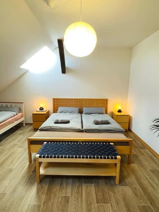 P6 - Familienwohnung Am Park Und Saale Halle  외부 사진