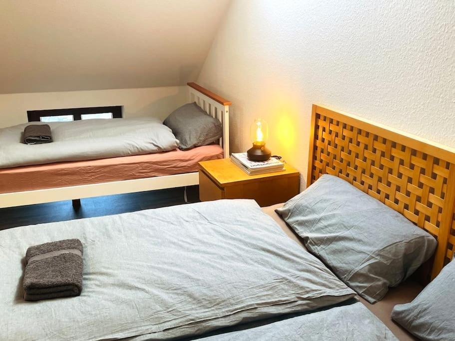 P6 - Familienwohnung Am Park Und Saale Halle  외부 사진