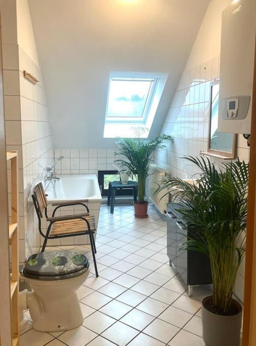 P6 - Familienwohnung Am Park Und Saale Halle  외부 사진