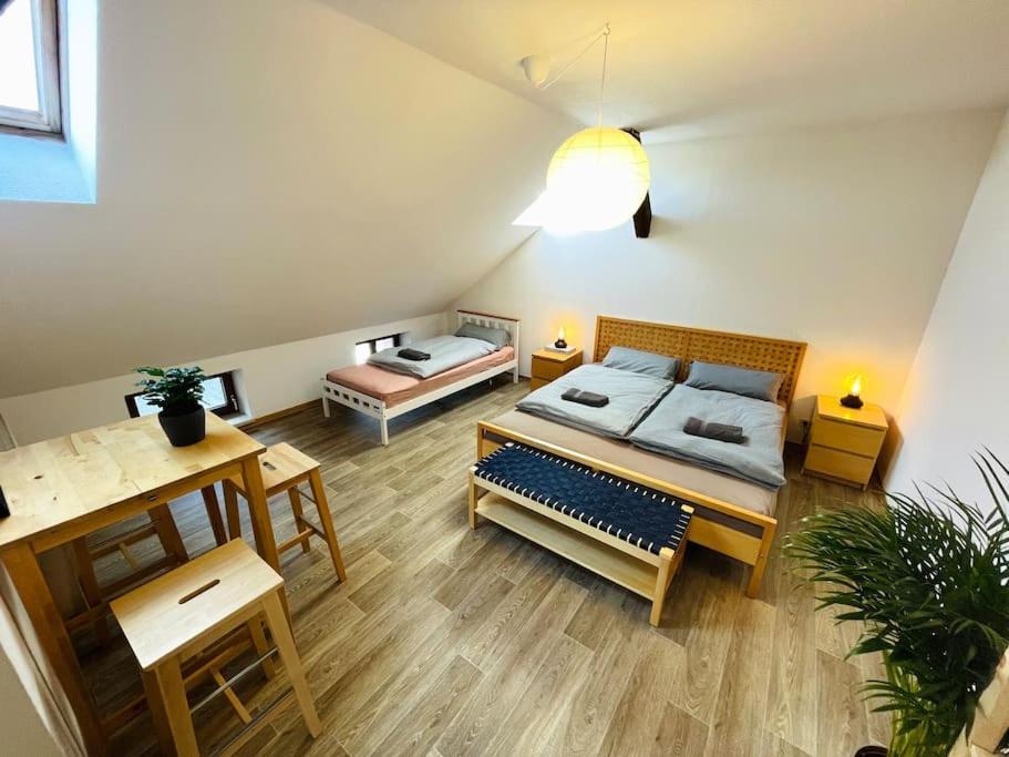 P6 - Familienwohnung Am Park Und Saale Halle  외부 사진