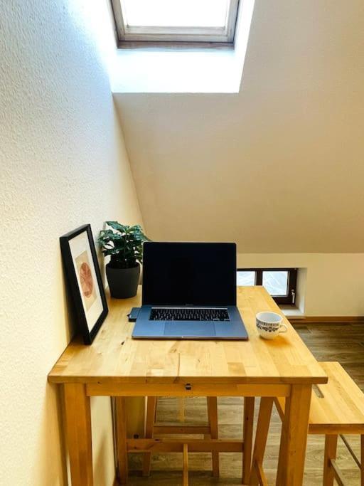 P6 - Familienwohnung Am Park Und Saale Halle  외부 사진