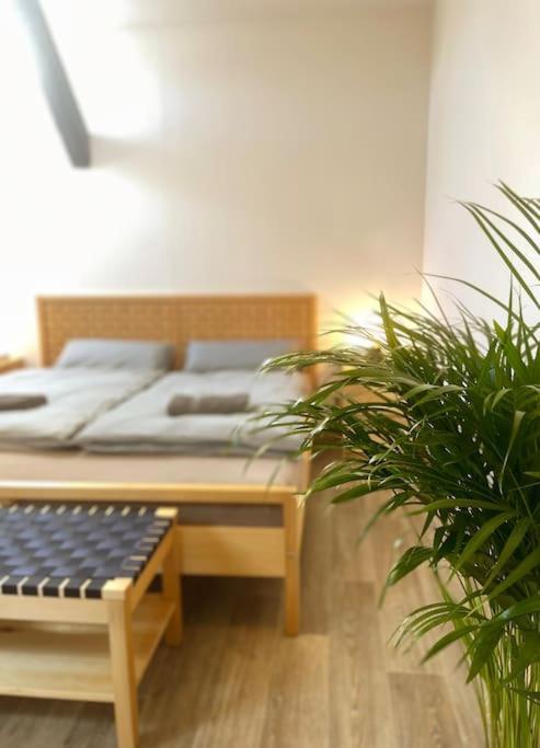 P6 - Familienwohnung Am Park Und Saale Halle  외부 사진