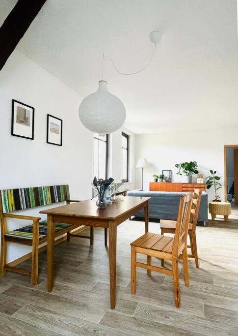 P6 - Familienwohnung Am Park Und Saale Halle  외부 사진