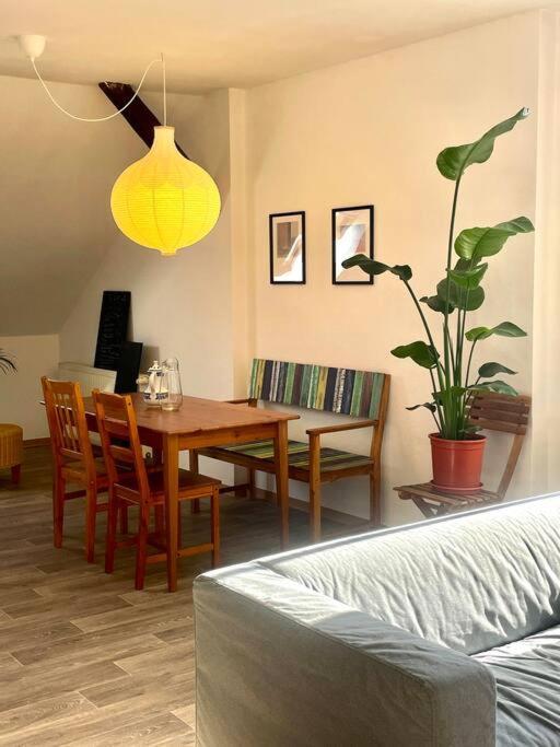 P6 - Familienwohnung Am Park Und Saale Halle  외부 사진