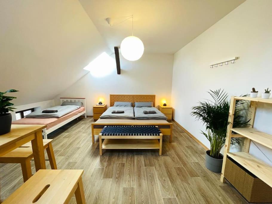 P6 - Familienwohnung Am Park Und Saale Halle  외부 사진