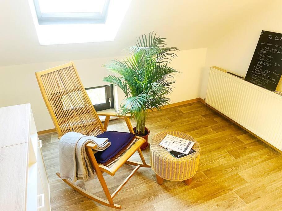 P6 - Familienwohnung Am Park Und Saale Halle  외부 사진