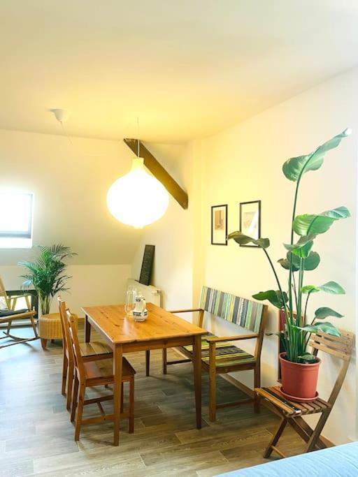 P6 - Familienwohnung Am Park Und Saale Halle  외부 사진