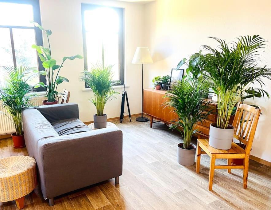 P6 - Familienwohnung Am Park Und Saale Halle  외부 사진