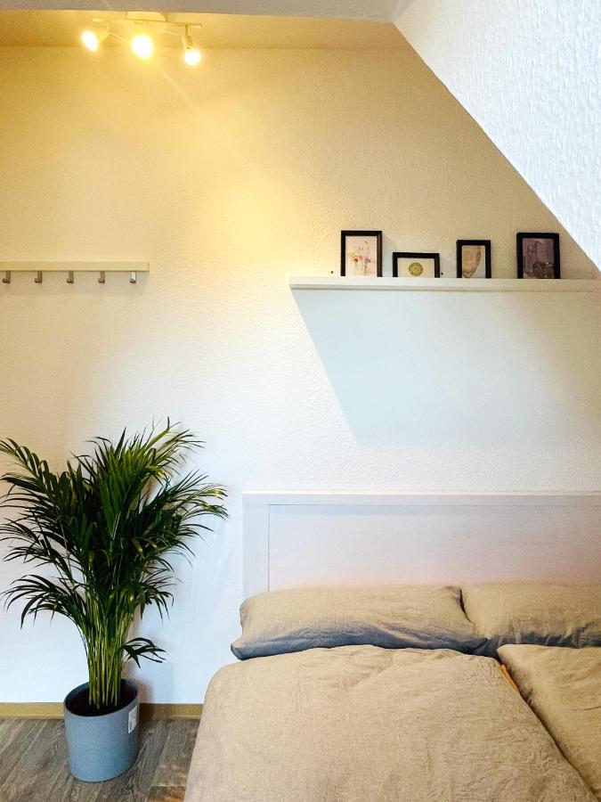 P6 - Familienwohnung Am Park Und Saale Halle  외부 사진