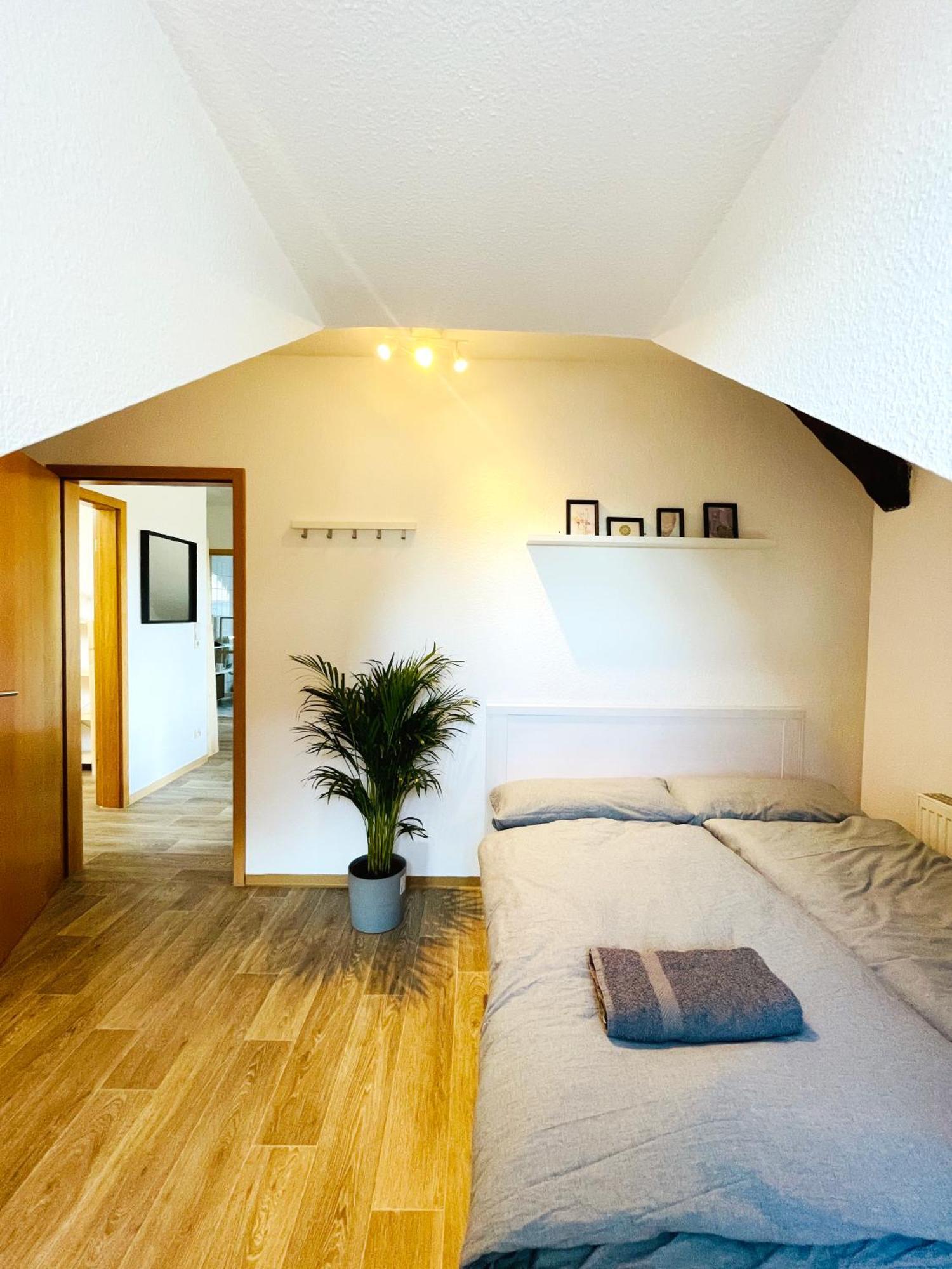 P6 - Familienwohnung Am Park Und Saale Halle  외부 사진