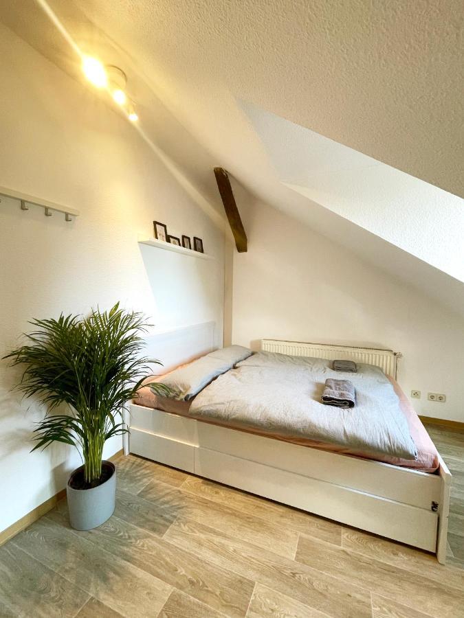 P6 - Familienwohnung Am Park Und Saale Halle  외부 사진