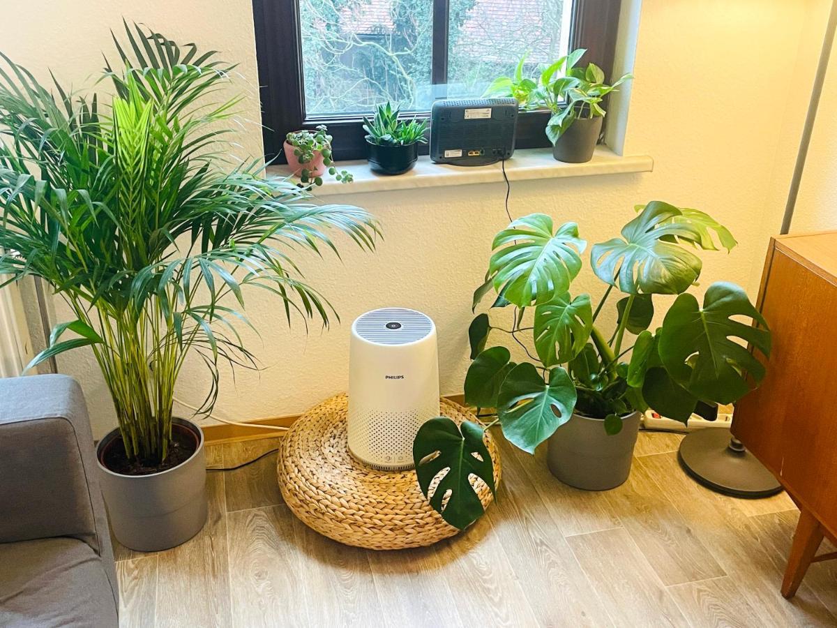 P6 - Familienwohnung Am Park Und Saale Halle  외부 사진