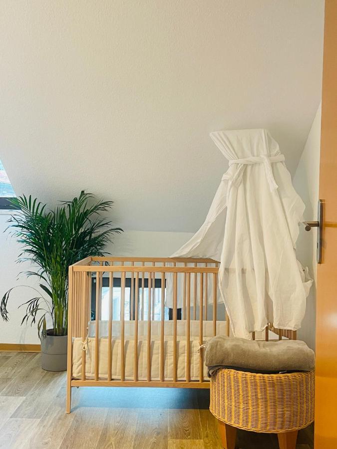 P6 - Familienwohnung Am Park Und Saale Halle  외부 사진