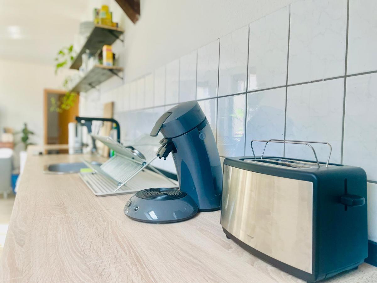 P6 - Familienwohnung Am Park Und Saale Halle  외부 사진