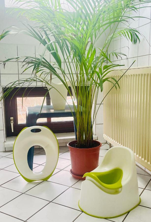 P6 - Familienwohnung Am Park Und Saale Halle  외부 사진